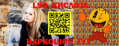 прущий лед Новозыбков