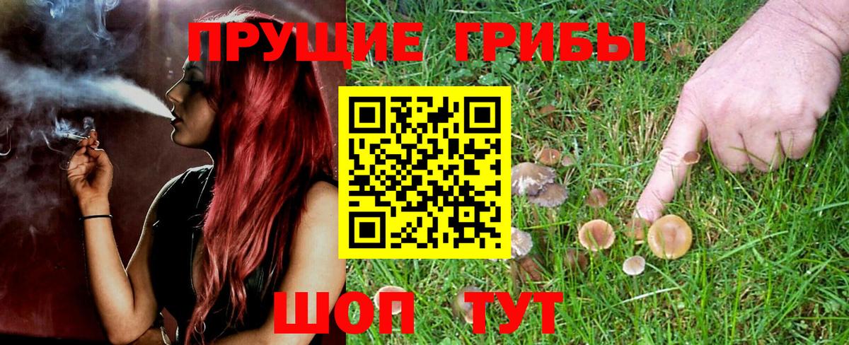 Уссурийск  Галлюциногенные грибы MAGIC MUSHROOMS  Вход с VPN  Псилоцибиновые грибы MAGIC MUSHROOMS 